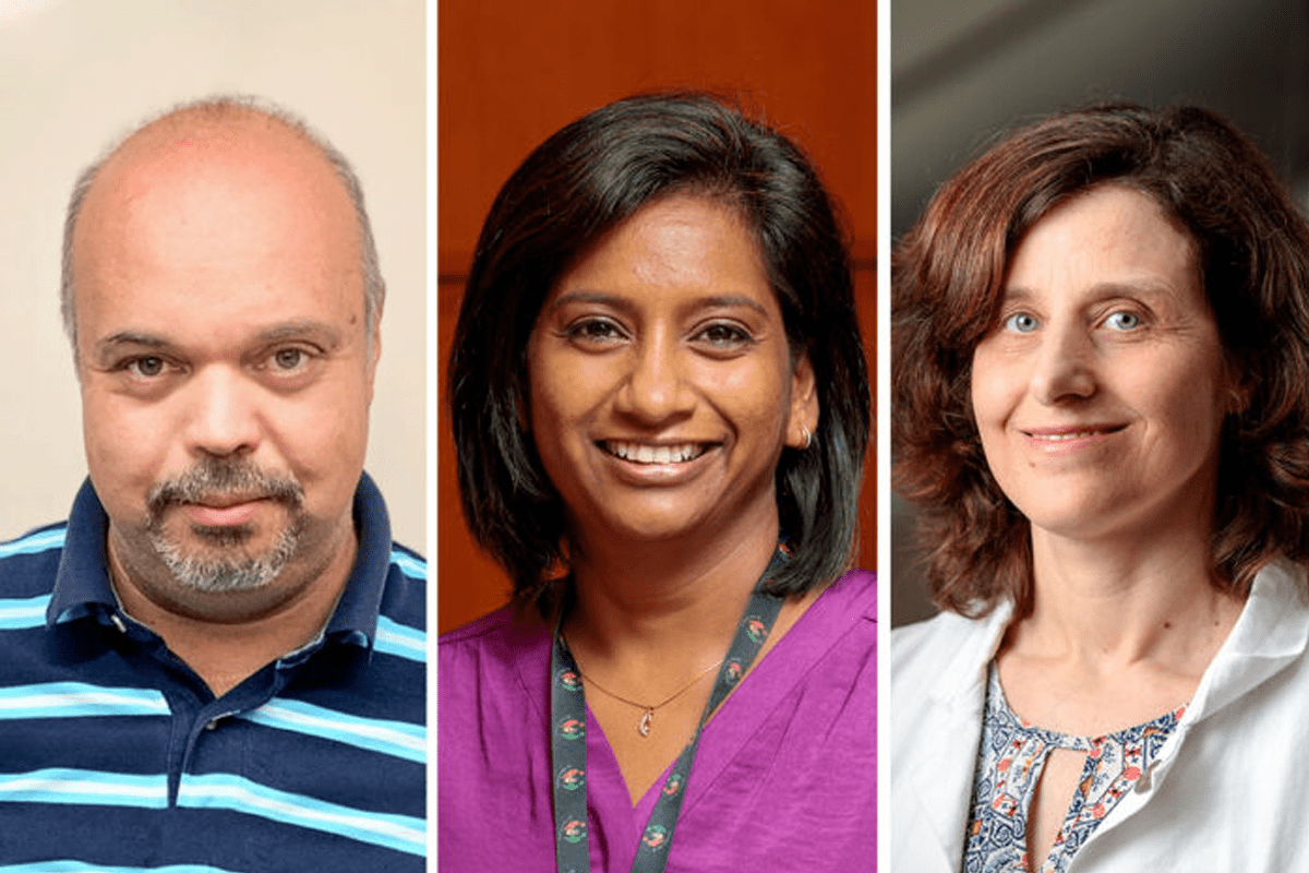 Feldman, Khader, Philips elected to American Academy of Microbiology